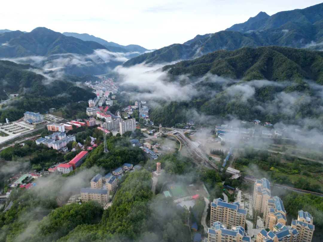 宜养宜居的太平镇.杨永青 摄