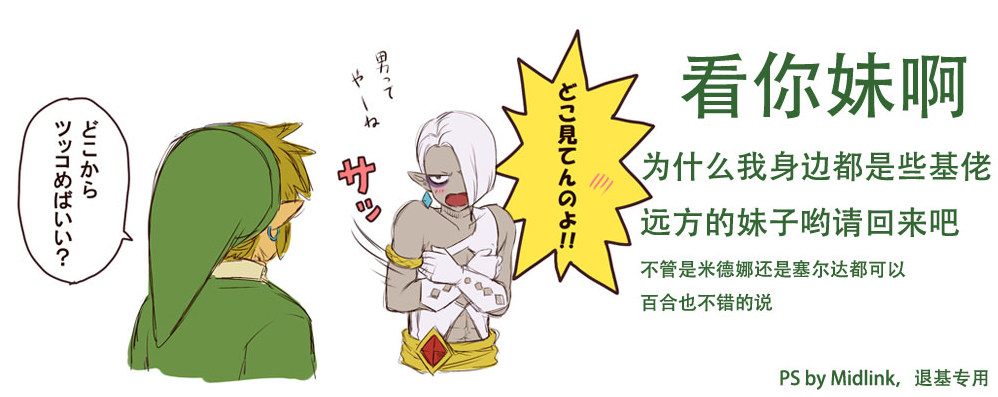 2009年,在与外媒kotaku的采访中,青沼英二提到了他们对女主角塞尔达