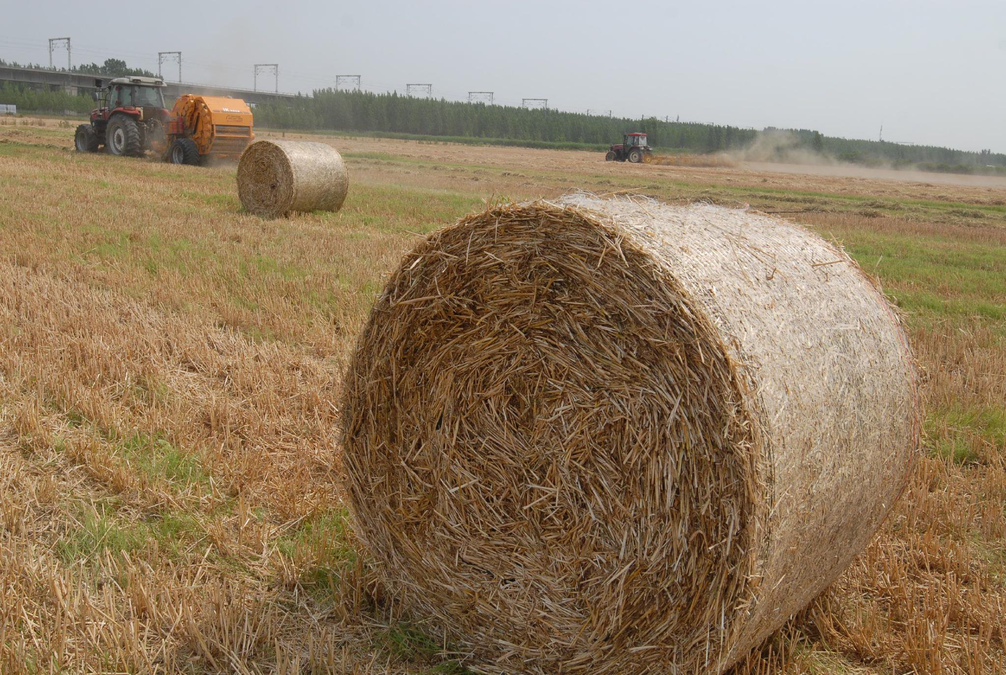 青岛市即墨区蓝村街道的麦田里,农民驾驶秸秆打捆机回收小麦秸秆.