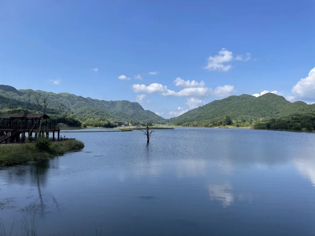 广元市利州区白朝乡月坝村近月湖(资料图)