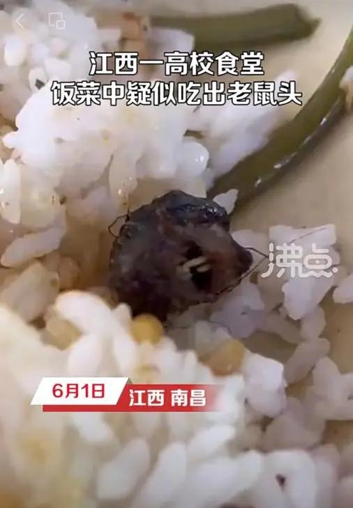 伦敦世乒赛首战孙颖莎3-0为国乒迎开门红，王曼昱并未出场v3.5.9 官方安卓版