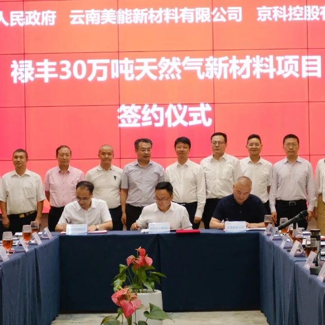 楚雄州签约30万吨天然气新材料项目|签约|刘勇|天然气_新浪新闻
