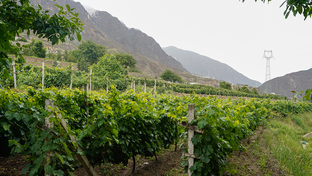 我们收到了一封特别的感谢信|得荣_新浪财经_新浪网