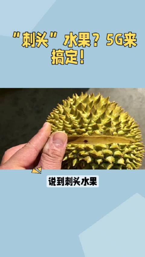 “刺头”水果,5G来搞定!|水果|5G_新浪新闻