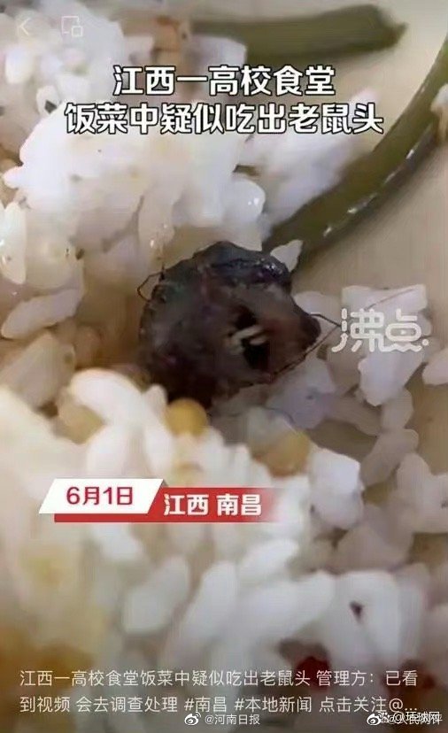 丈夫每月发工资就神秘失联，妻子偷偷尾随，真相让人泪目v4.1.1 官方安卓版