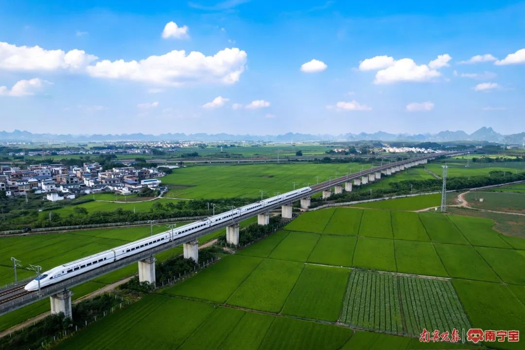 和谐号动车组行驶在南广高铁上&nbsp; 通讯员 兰炳侣 摄