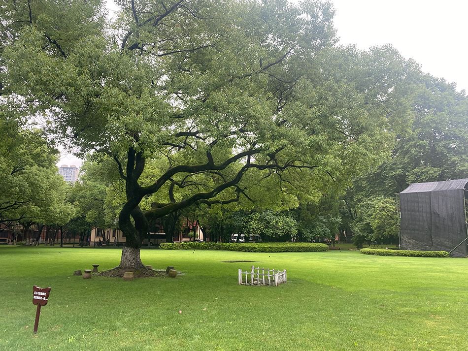 华东政法大学长宁校区的开阔草坪.