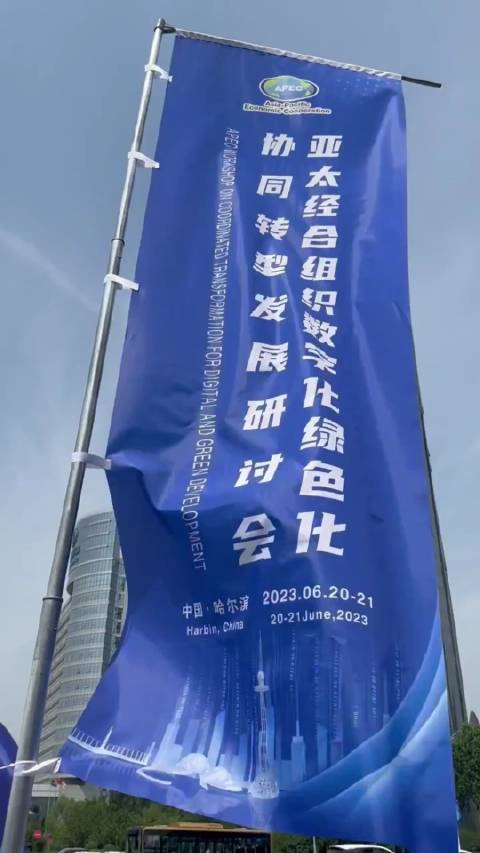 亚太经合组织（APEC）研讨会｜特斯拉大中华区及亚太区首席信息官|特斯拉|APEC_新浪新闻