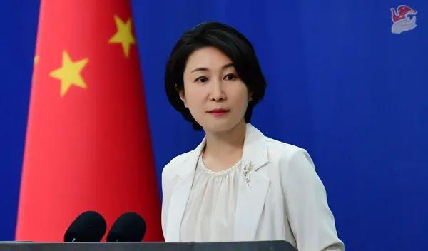 毛宁 资料图 图源:外交部网站