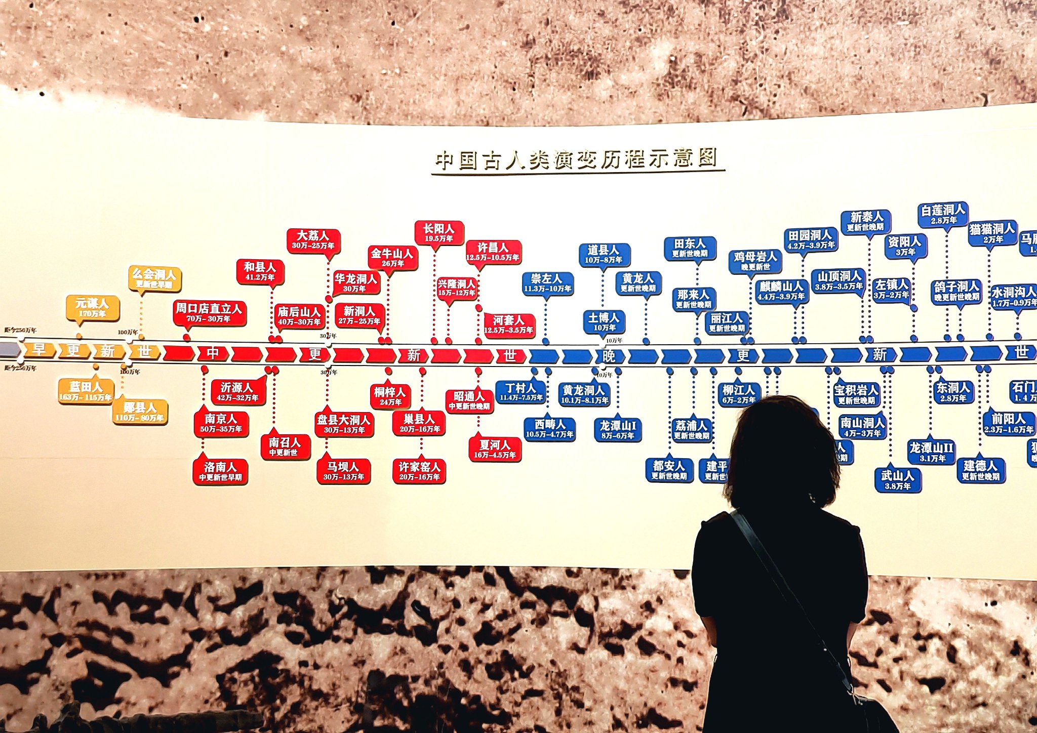 中国国家博物馆携手打造的"东方故乡——中华大地百万年人类史"展览在