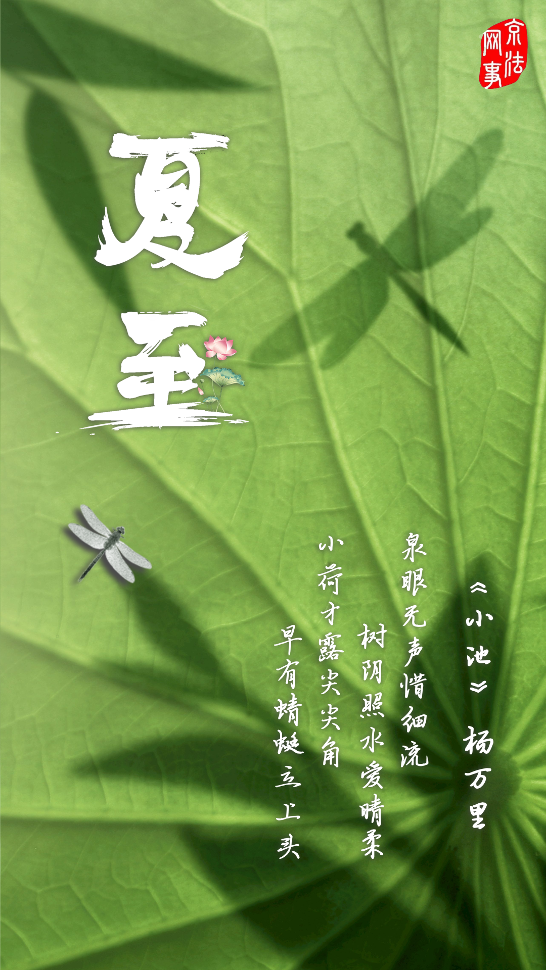 今日夏至:小荷才露尖尖角 早有蜻蜓立上头|夏至_新浪财经_新浪网