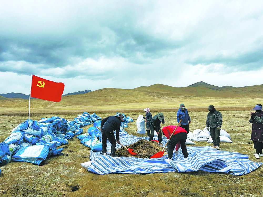 牧民群众在为播种做准备.曲麻莱县委组织部供图