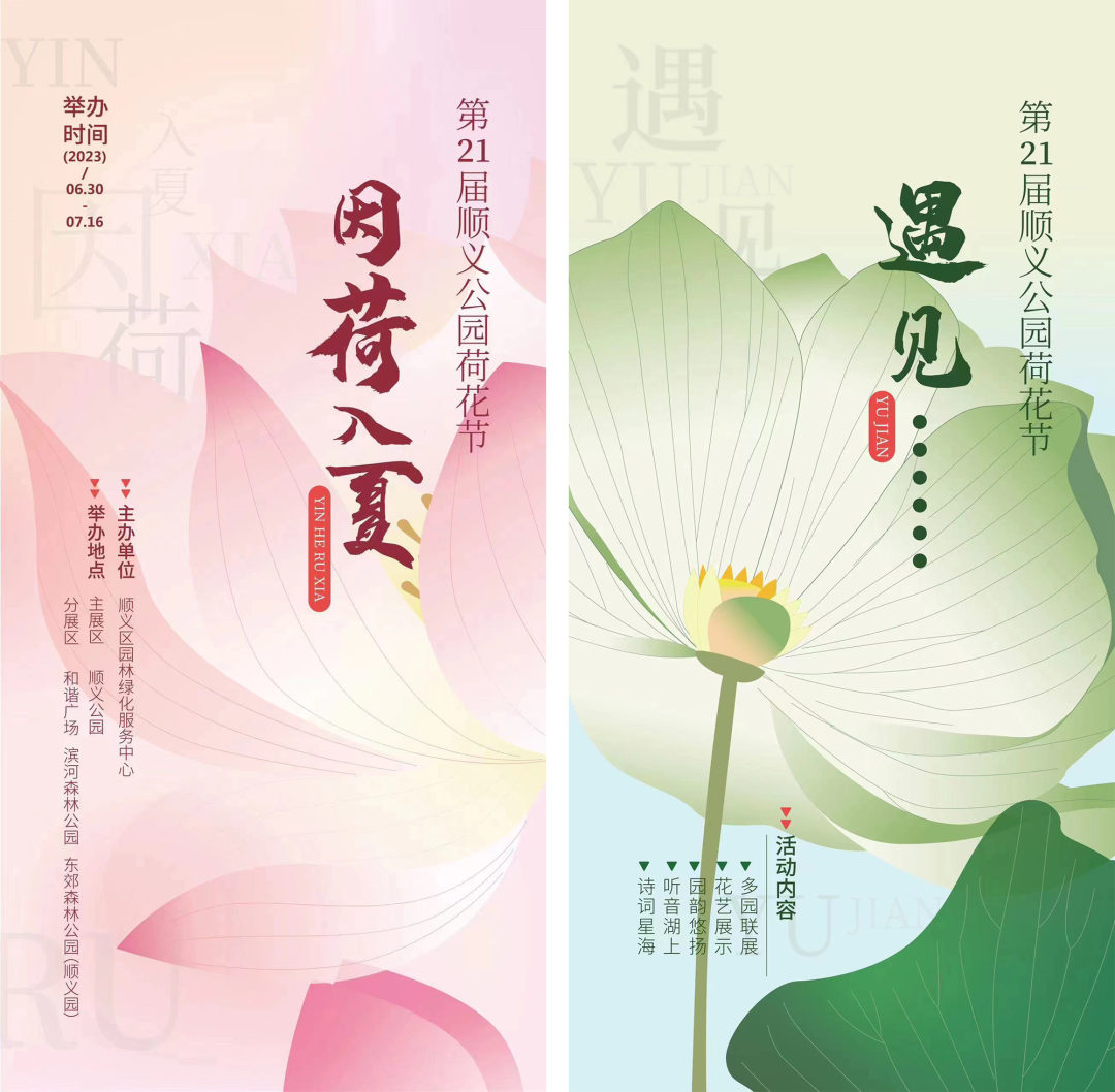 第21届顺义公园荷花节宣传海报.