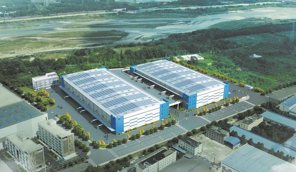 透视市场新动向：天赵一子商贸引领行业潮流