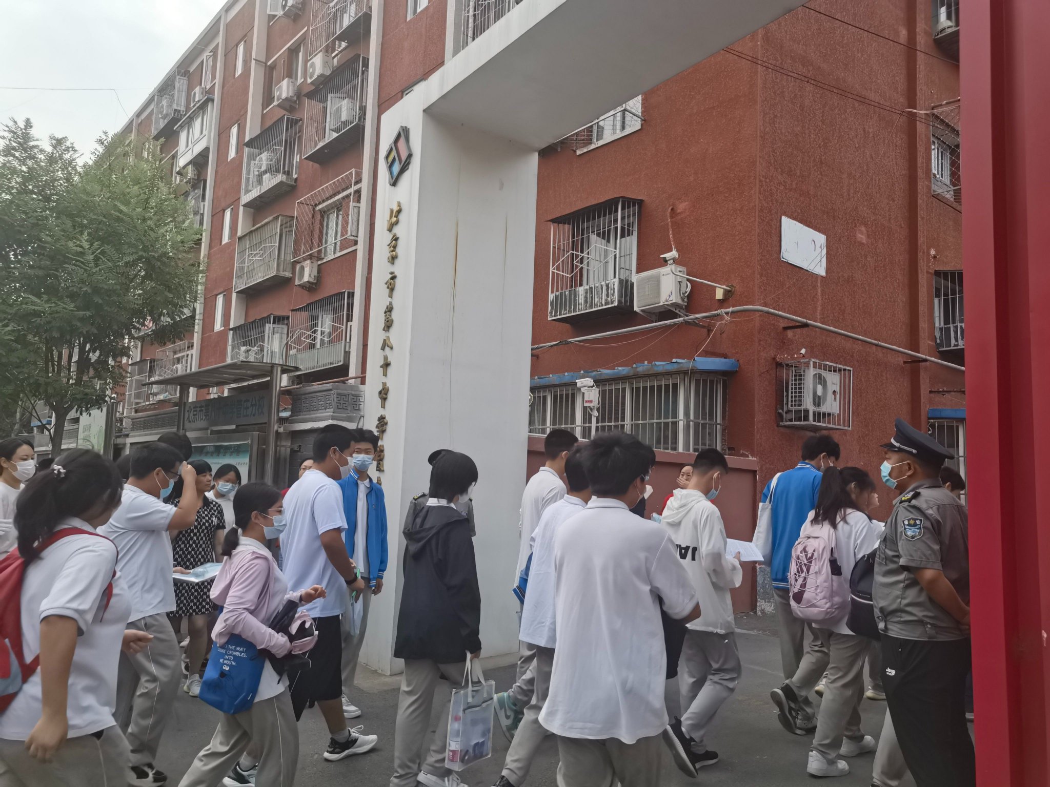 小说：穿越成杂毛鸟想摆烂？收拾俩转世大佬烂摊子竟强到逆天v1.5.2 官方安卓版