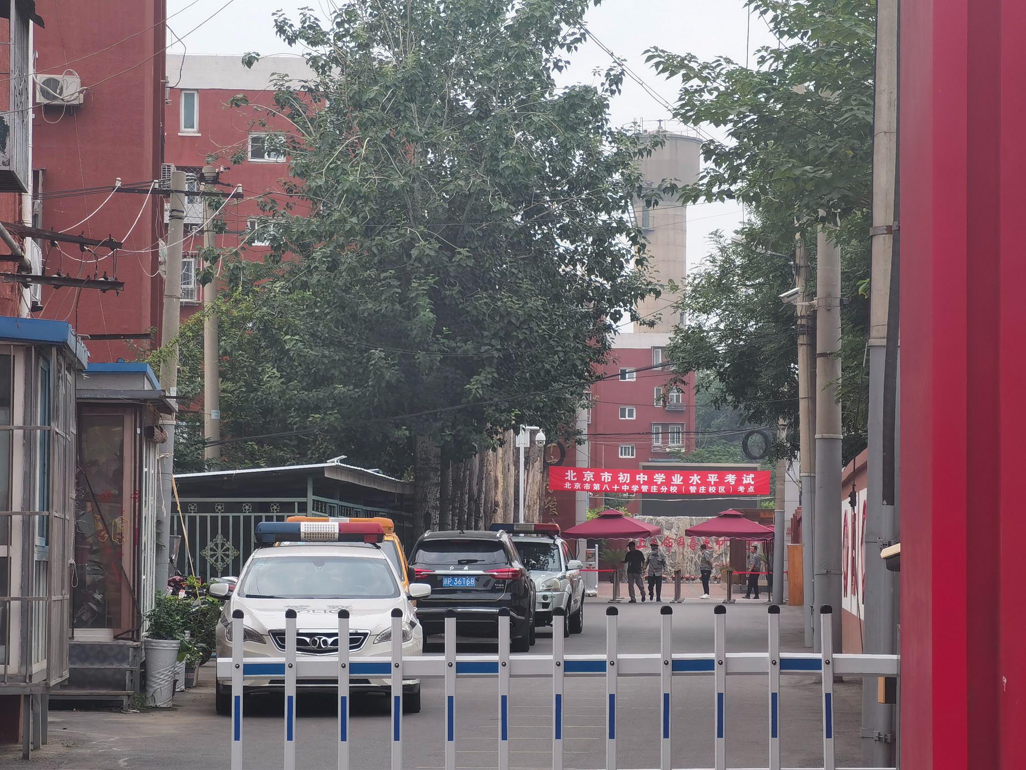 小说：三王妃落水后性情大变，从软弱到彪悍，三王爷反追着贴上去
