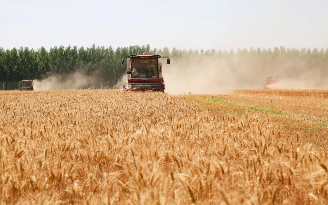【学思想 强党性 重实践 建新功·办实事 解民忧】加大支农投入 解决群众急难愁盼