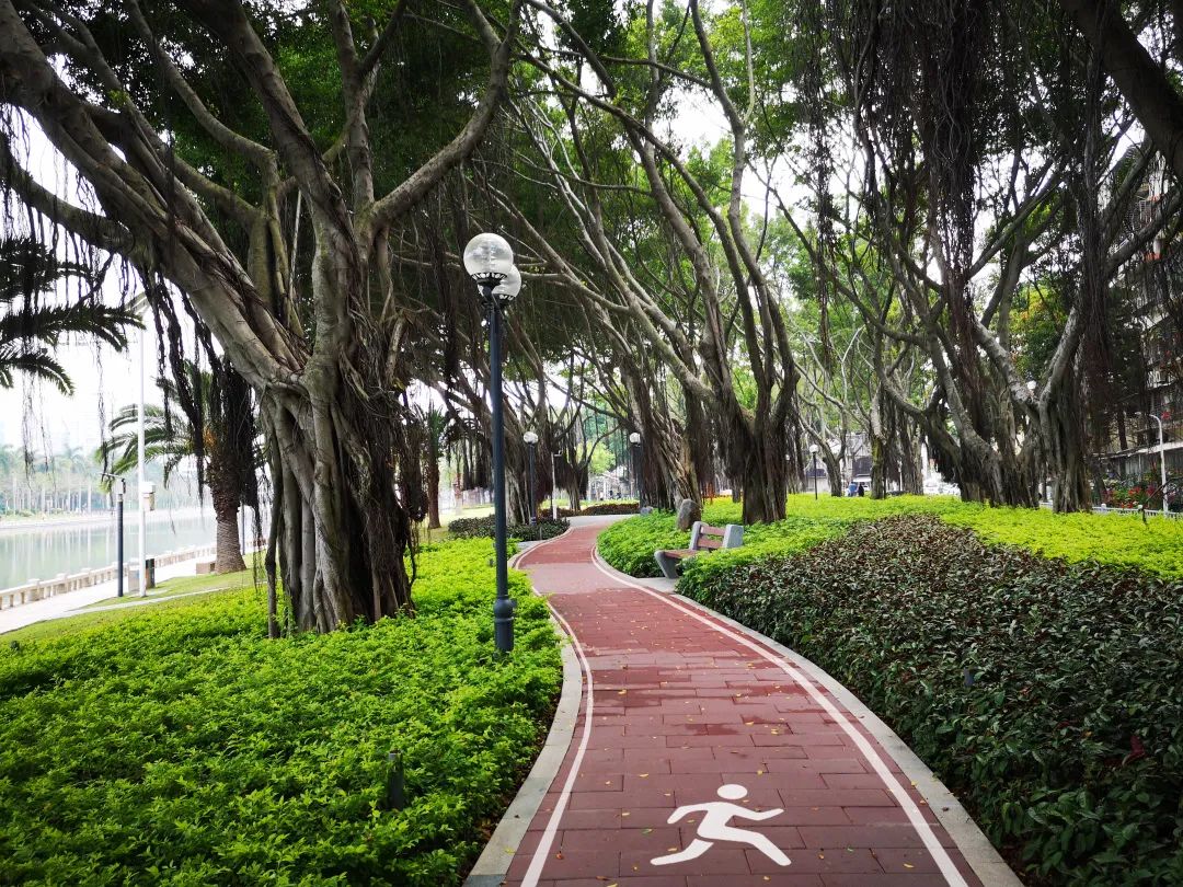 筼筜湖健身步道三期效果图