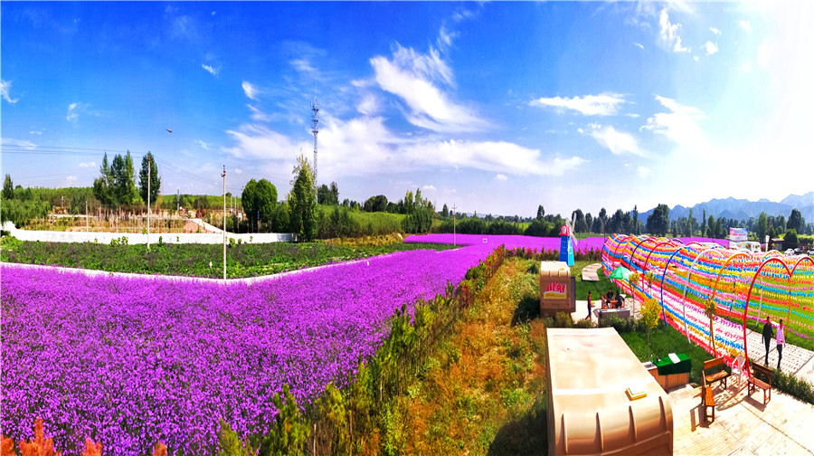 发布"漫游河西门户 避暑度假休闲"2日游行程|兰州市_新浪财经_新浪网