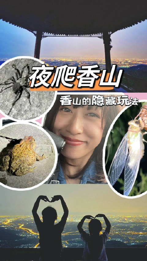 别再去鬼笑石人挤人啦,香山一样可以打卡北京夜景……_新浪新闻