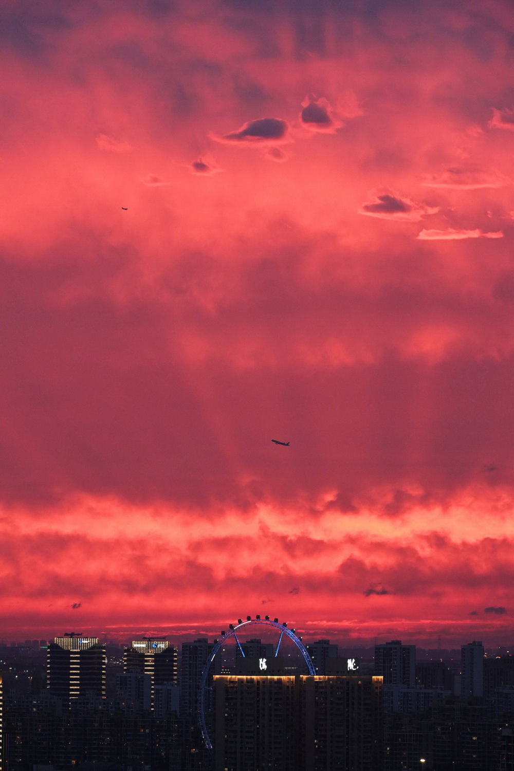 6月23日,上海闵行区梅龙镇附近拍摄的火烧云.澎湃新闻记者 朱伟辉 图