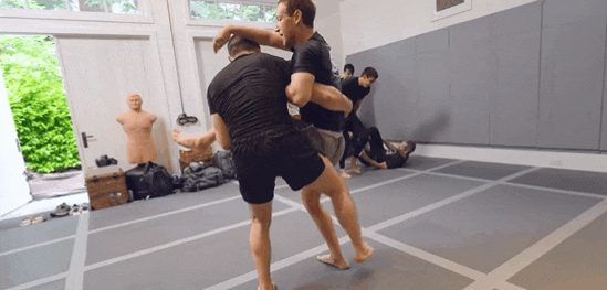 视频截图自莱克斯·弗里德曼推特