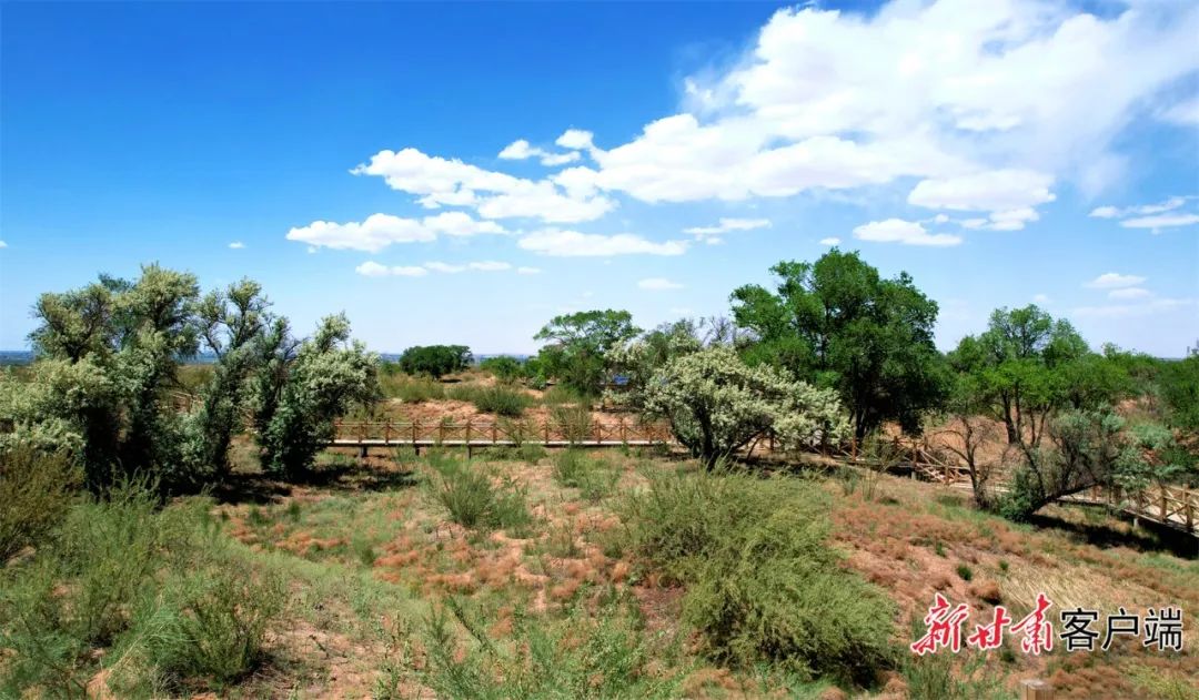 武威市古浪县绘就绿水青山新画卷