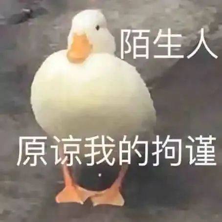 表情包 | 原谅我的拘谨 拿图点赞、吱声_新浪新闻