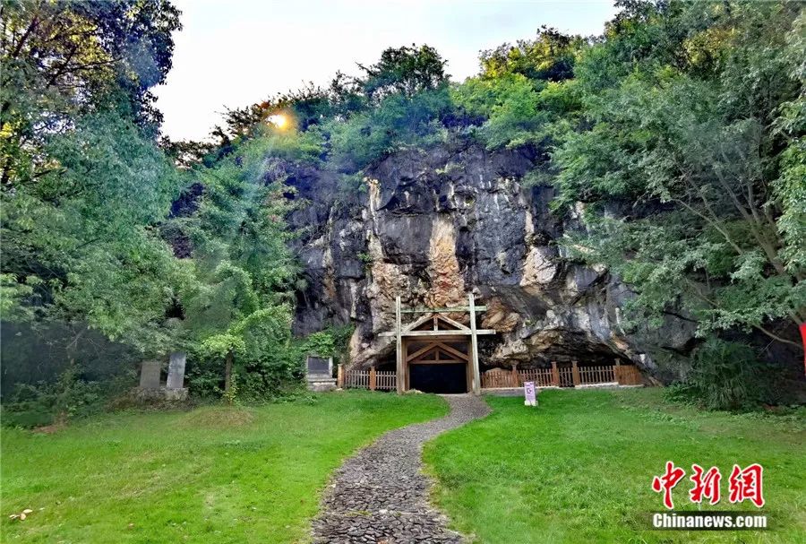 为什么说江西仙人洞与吊桶环遗址实证水稻万年驯化史