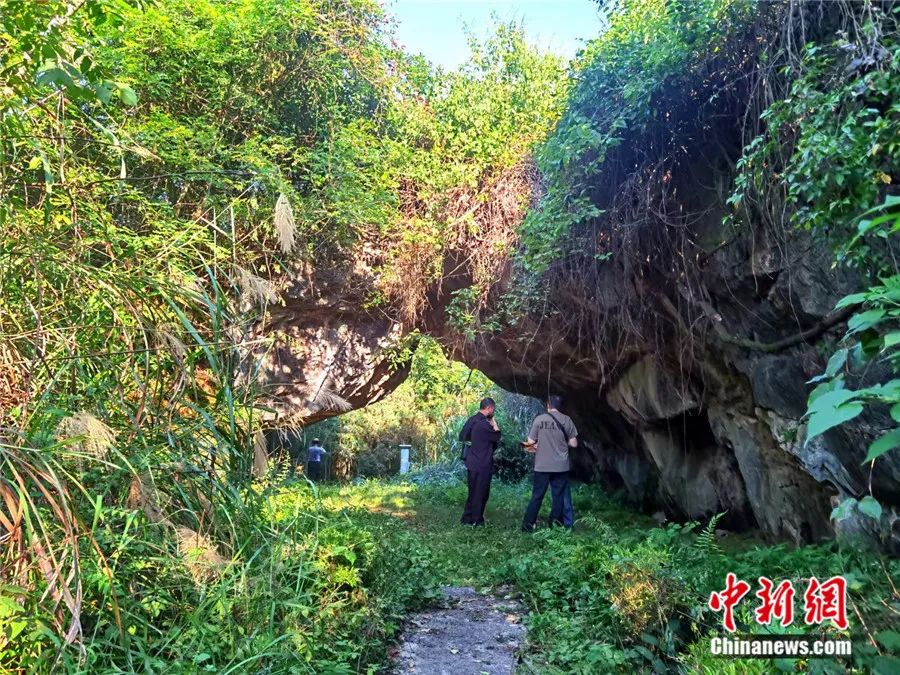 为什么说江西仙人洞与吊桶环遗址实证水稻万年驯化史