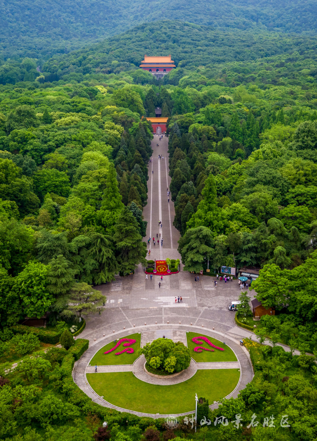 图片来源:南京钟山风景区