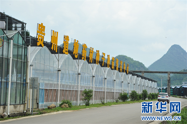 关岭县贵州道地药材种子种苗繁育中心外景(6月20日摄)新华网 黄勇摄