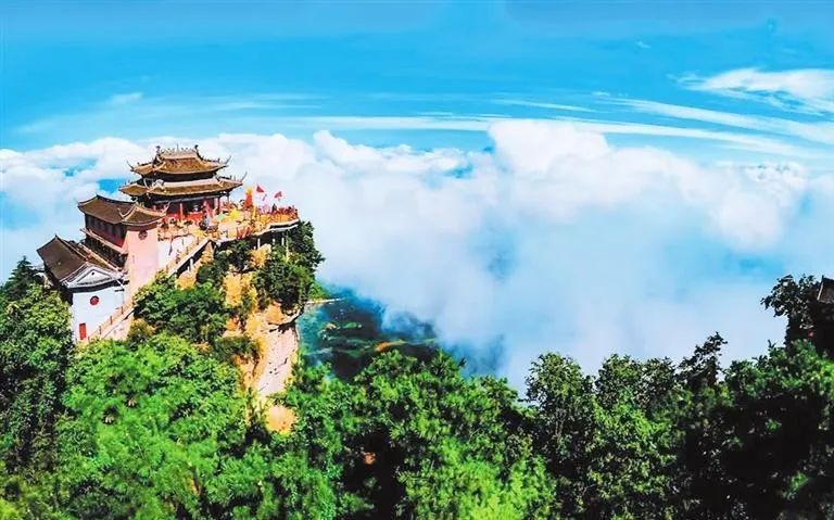 夏日的鸡峰山,满目苍翠.新甘肃·甘肃日报通讯员 李董