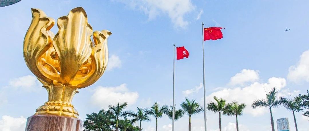 当宝石花遇上紫荆花~|香港_新浪新闻