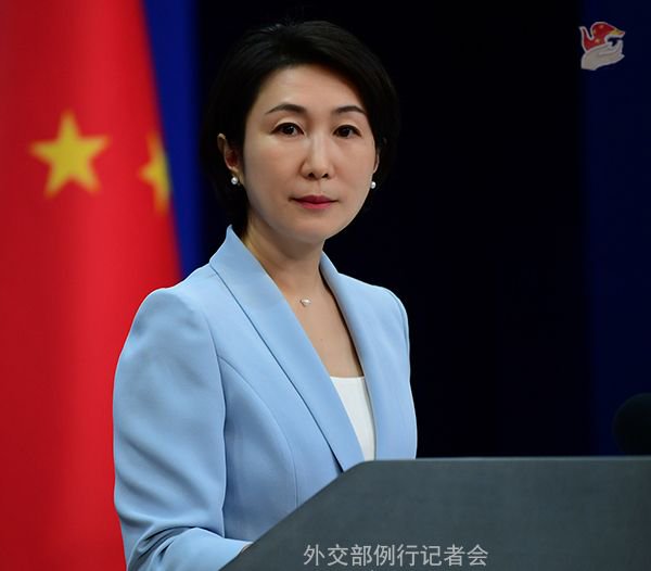 毛宁 资料图 图源:外交部网站