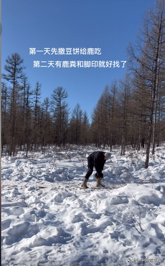 90后走出大山又回去"吃苦",身份"背景"不一般,网友:佩服|雨果的假期