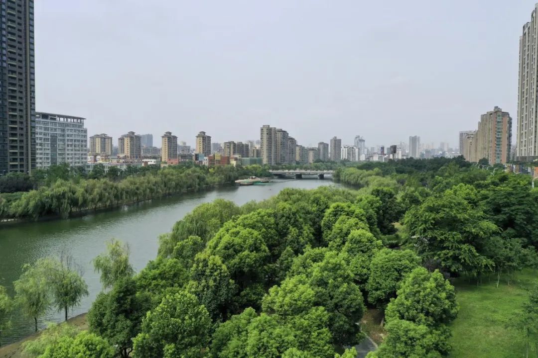九江十里河图片