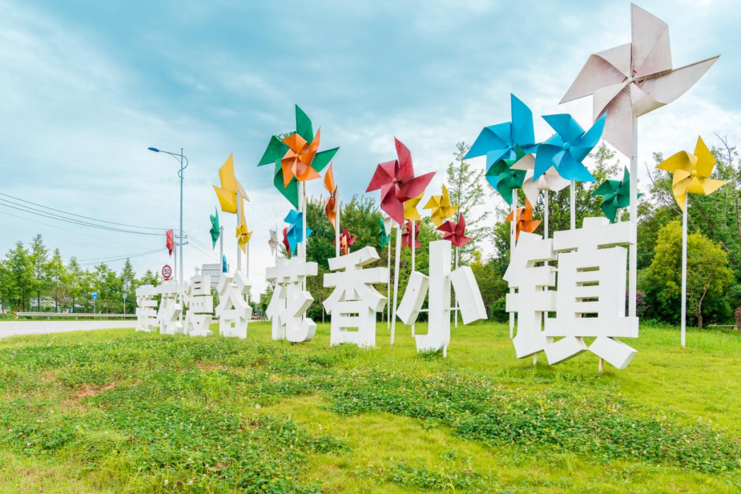 莲花漫谷,花香小镇.