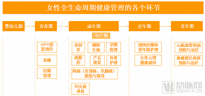 个人生命周期六个阶段图片