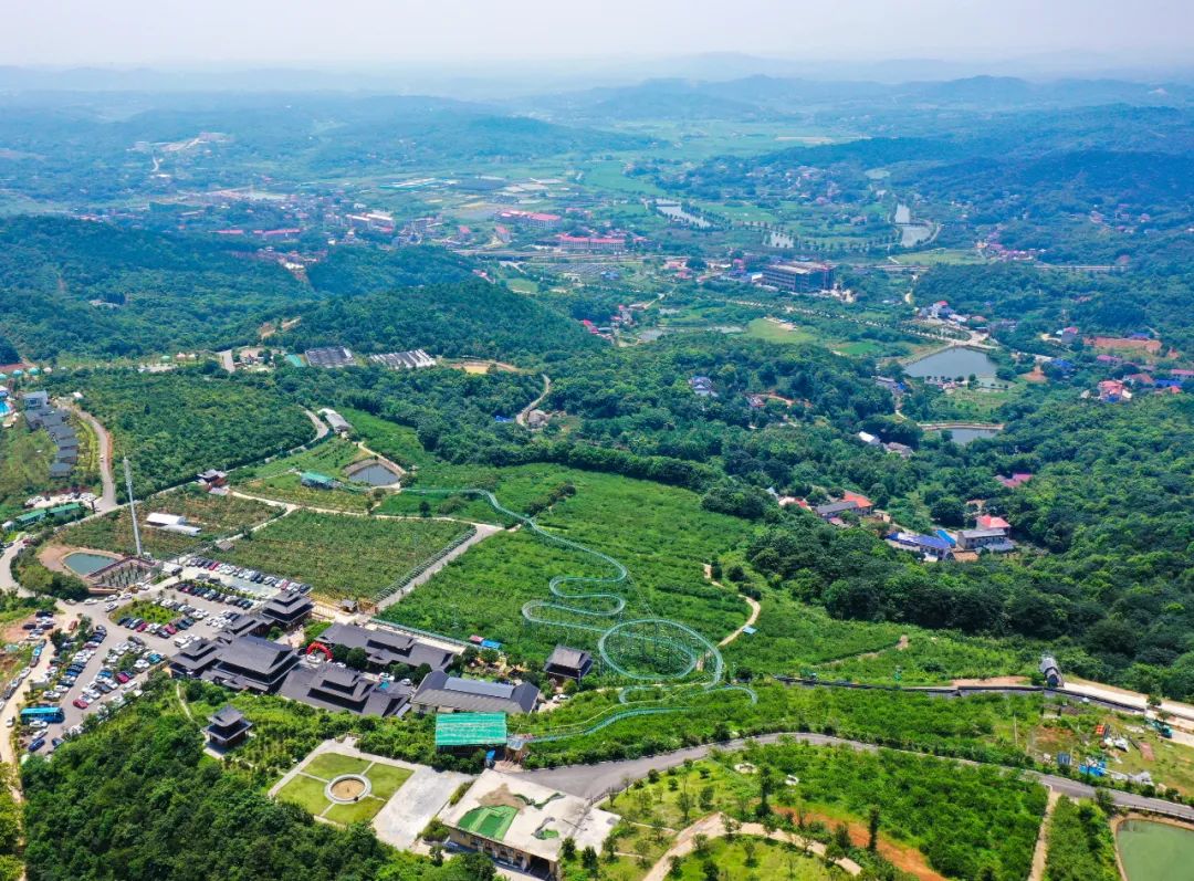 美翻了我的村第95期 | 湖南省长沙市莲花镇:在莲花香里拥抱"诗和远方"