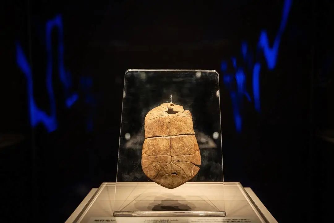"汉字中国"特展中的刻符龟甲,距今约8000年,河南舞阳贾湖遗址出土
