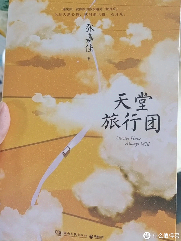 夏有乔木雅望天堂小说