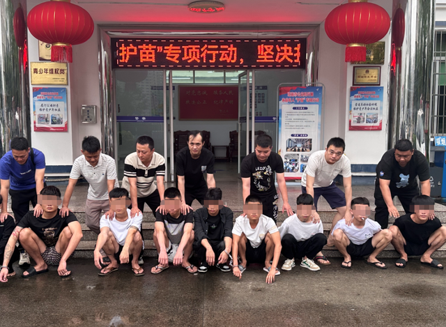 海南警方破获多个类型诈骗团伙案|诈骗团伙_新浪财经_新浪网