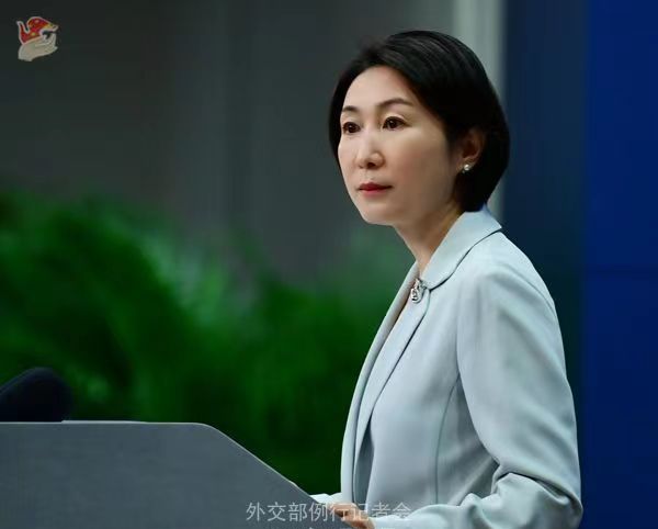 外交部:中国吸引外资逆势增长,说明世界对中国经济前景充满信心_新浪