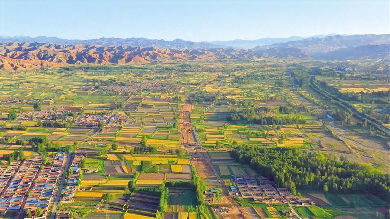 永登绘就"安居乐业图"|玫瑰_新浪财经_新浪网