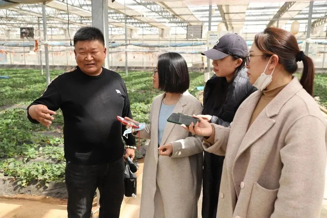 支持人才投身乡村振兴新闻发布会后，记者现场采访