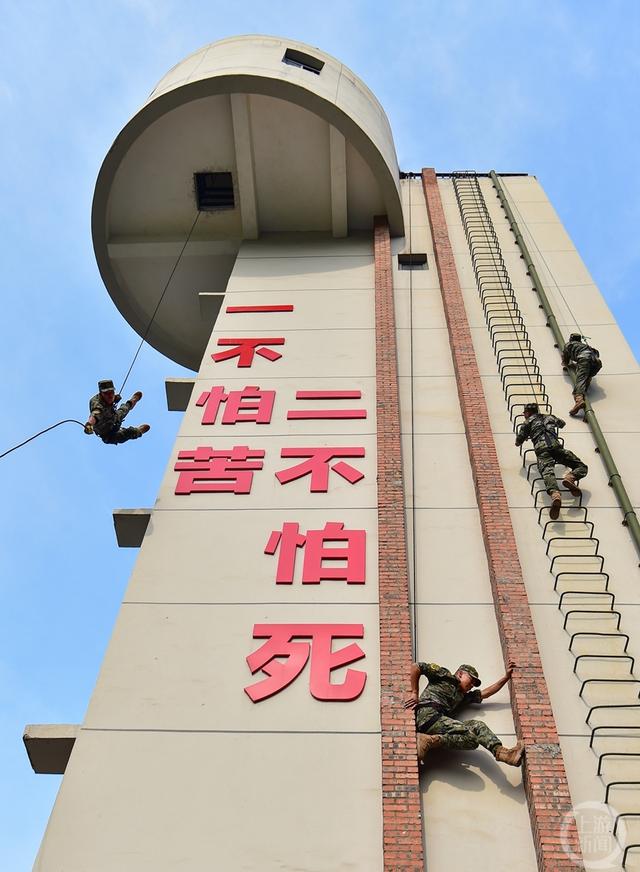 重庆武警:"三伏"砺精兵|重庆市_新浪财经_新浪网