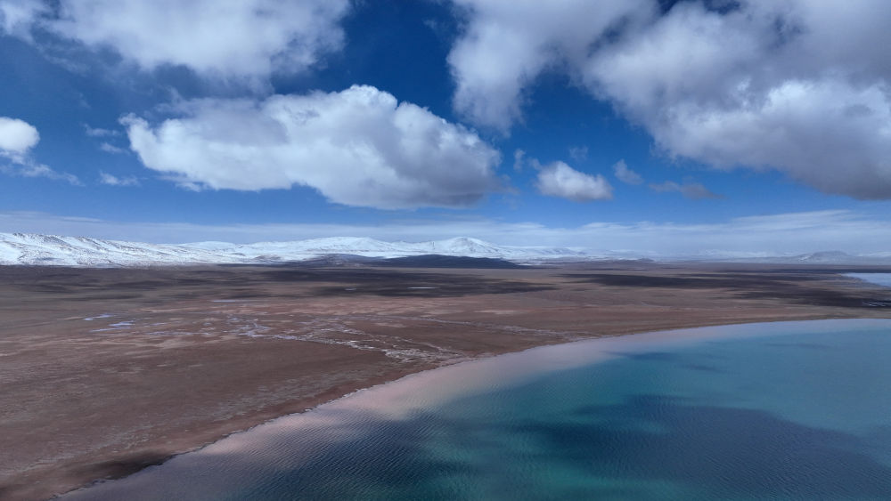 这是6月17日拍摄的可可西里卓乃湖一角(无人机照片).