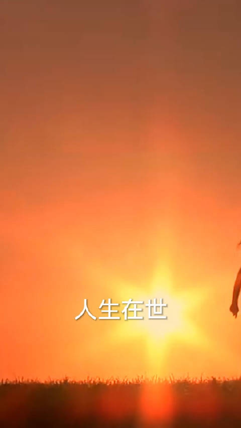 从怀念中向往未来_新浪新闻