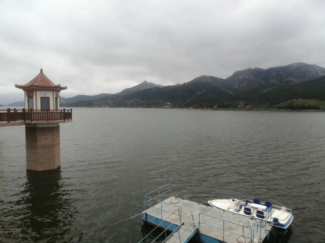 这场雨下来,青岛大中型水库"解渴"了|水库_新浪财经_新浪网